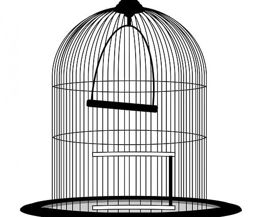 De perfecte kooien voor gelukkige en gezonde vogels